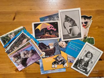 Cartoline gatti