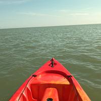 Canoa kayak sit on top