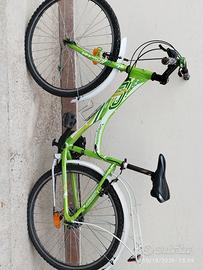 bicicletta 20 pollici 
