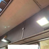 n.2 Faretti - proiettori Lanzini Olimpia 3