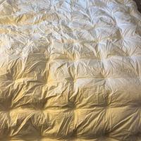 Piumino tedesco piuma d’oca, matrimoniale