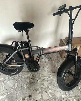 Bici elettrica 36V 250