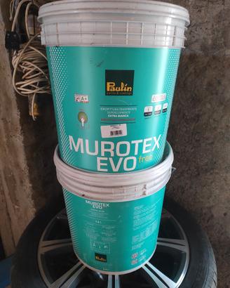 Pittura murale Paulin