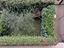 Immagine 12