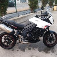 Triumph tiger 1050 sport