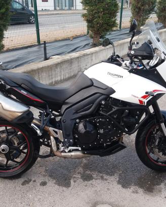 Triumph tiger 1050 sport