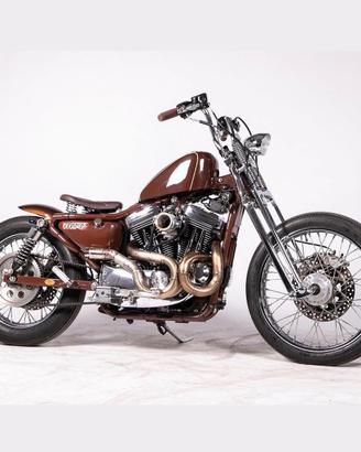 Harley Davidson Special