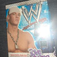 Mazzo base Carte Wrestling vintage wwe cards 2004