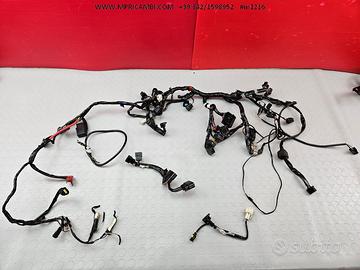 CABLAGGIO IMPIANTO TRIUMPH STREET TRIPLE 675 2007