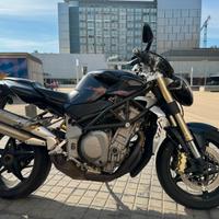 MV Agusta Brutale 989 - 2010