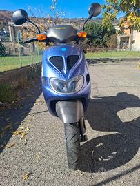Piaggio zip sp (LIBRETTO VERDE)
