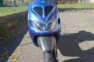 Piaggio zip sp (LIBRETTO VERDE)