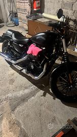 Harley-Davidson Sportster 883 Iron (2015) —