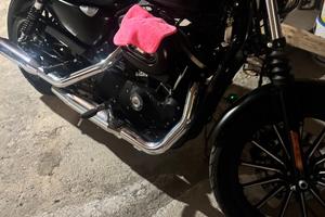 Harley-Davidson Sportster 883 Iron (2015) —