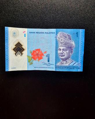 Banconota Malese