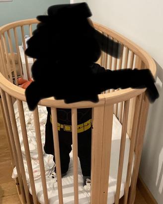 Culla stokke