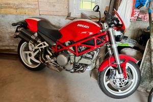 Ducati monster 800