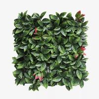 siepe sintetica photinia