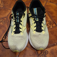 Scarpe Mizuno tg. 45