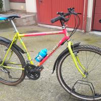 mtb sport ruote da 26 pronta 