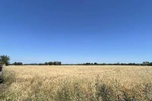 Rustico / Casale di 20040 m² a Tuscania