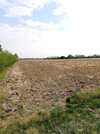 Terreno agricolo