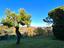 Immagine 12