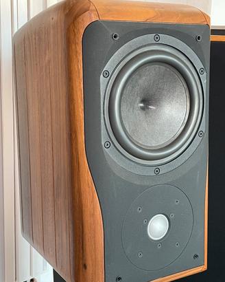 Chario accademy sonnet con stand originali
