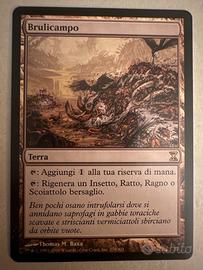 Magic the Gathering: Brulicampo RARA