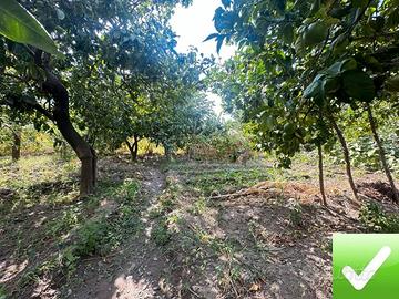 Terreno Agricolo Cataforio 1500 Mq