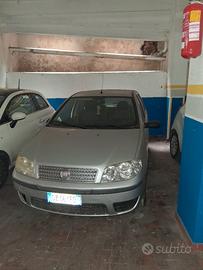 fiat punto diesel