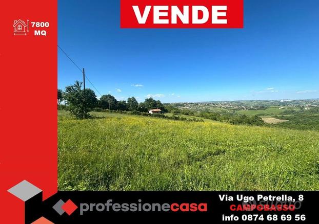 Terreno Agricolo Busso [Cod. rif 3153860VRG]