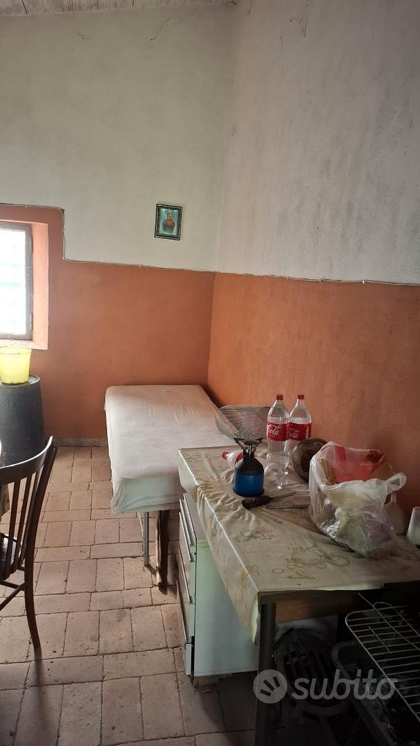 Terreno con uliveto Palombara Sabina - Vista 3