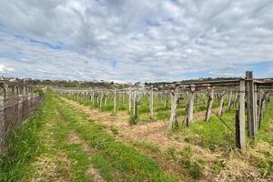 TER. AGRICOLO A FRASCATI