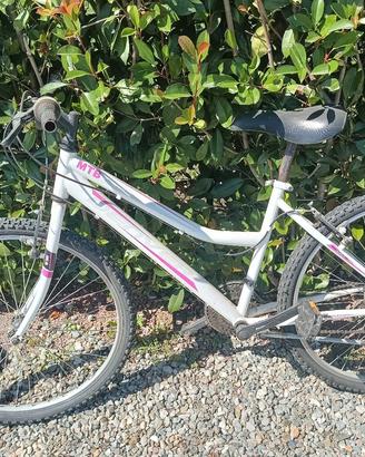 Mountain bike 