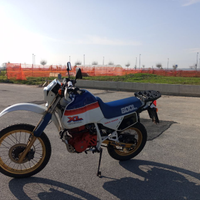 Honda XL 600 LM PARIS DAKAR