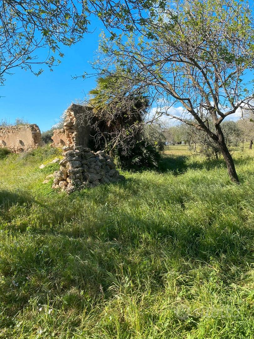 Rudere in Pietra con 35.000 mq di Terreno a Noto - Vista 2