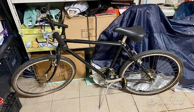 Bicicletta mountain bike