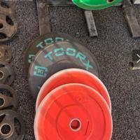 pesi bumpers foro 50 mm