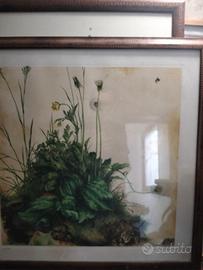 quadro d'autore