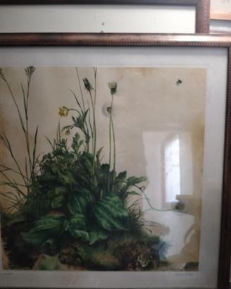 quadro d'autore