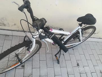 Bicicletta Bianca e Fucsia