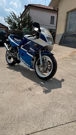 Rgv gamma 250