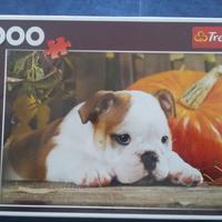 Puzzle trefl 1000 pezzi