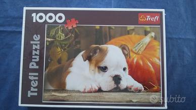 Puzzle trefl 1000 pezzi