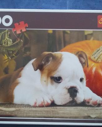 Puzzle trefl 1000 pezzi