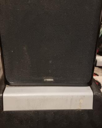 subwoofer attivo 