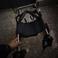 carrellino per cane non auto sufficente