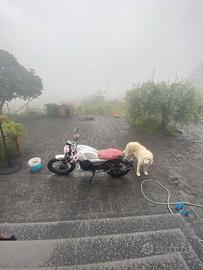 F.B Mondial 125 usata