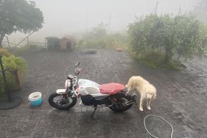 F.B Mondial 125 usata